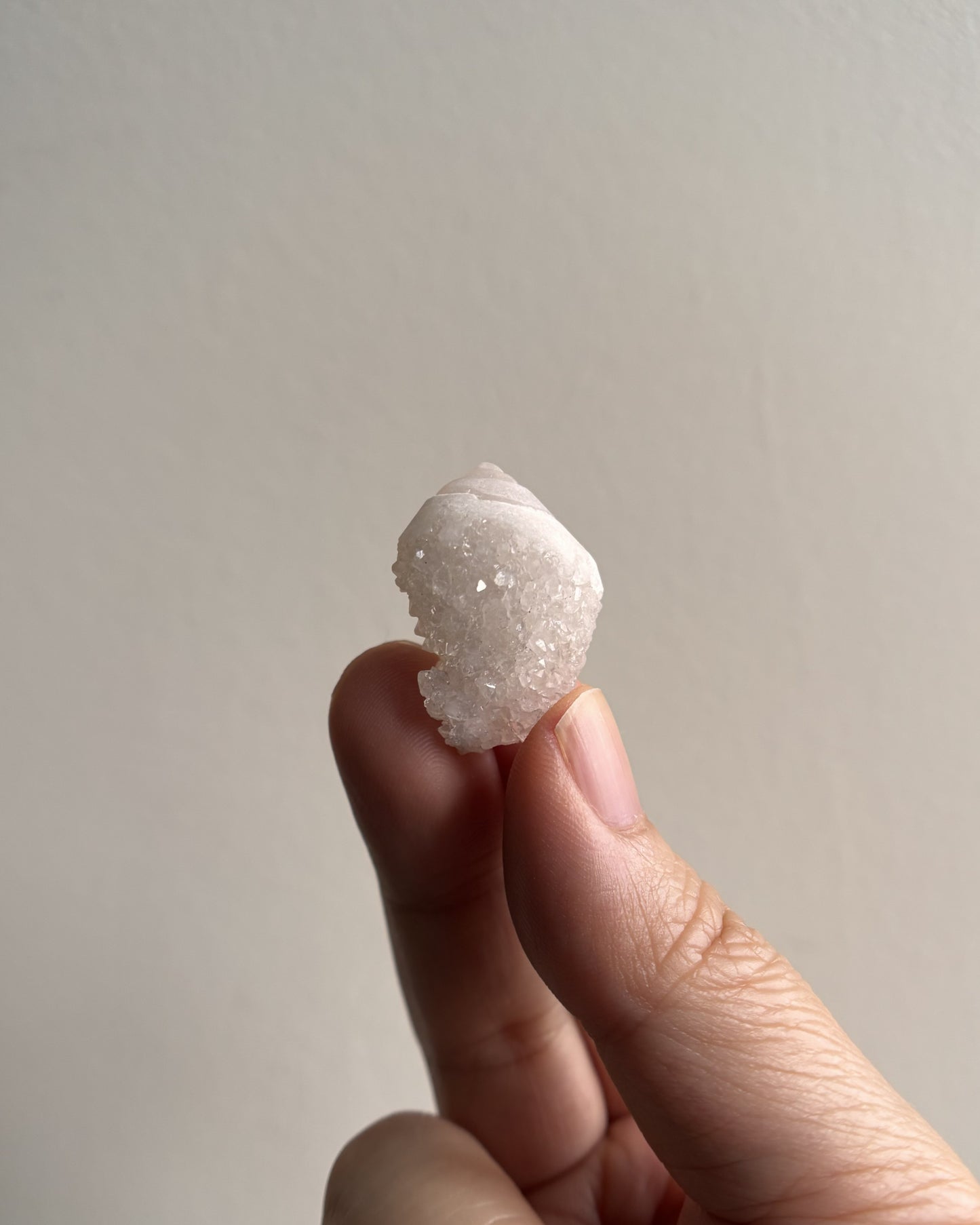 Fossilized Spiralite Quartz Shells 10g