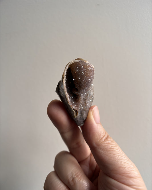 Fossilized Spiralite Quartz Shells 24.4g