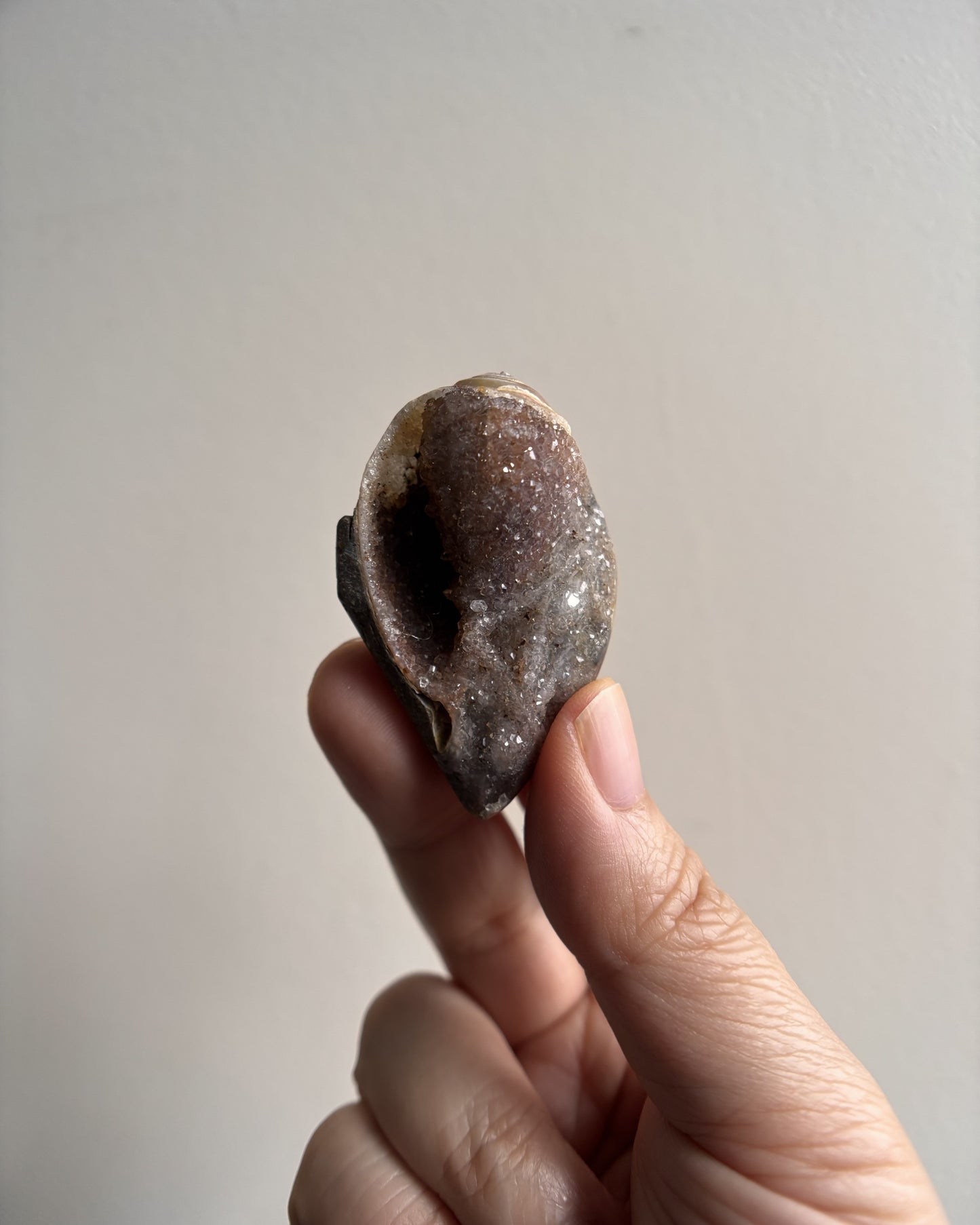 Fossilized Spiralite Quartz Shells 24.4g