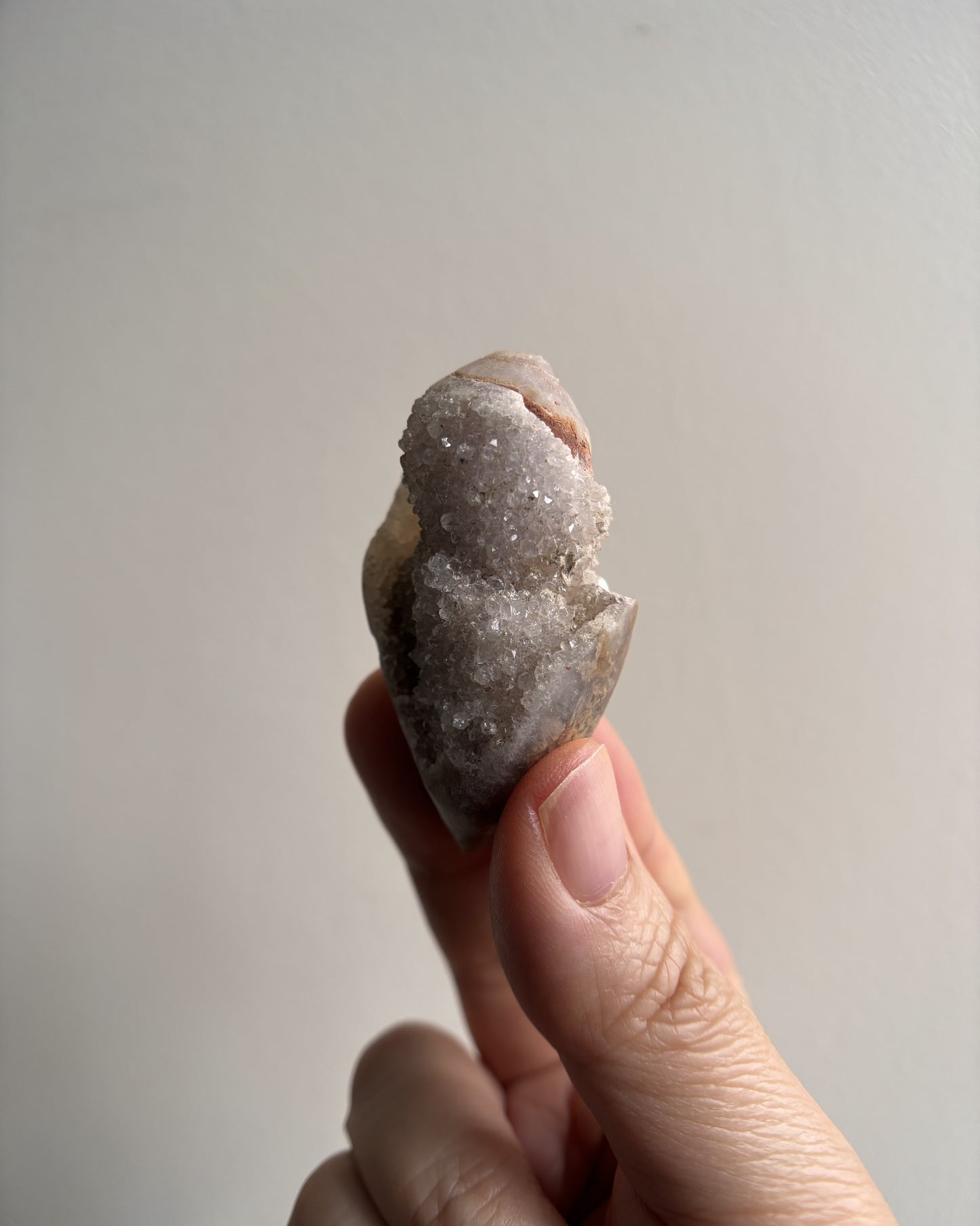 Fossilized Spiralite Quartz Shells 30g