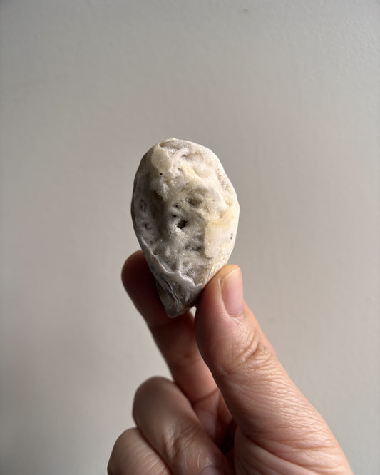 Fossilized Spiralite Quartz Shells 33.4g