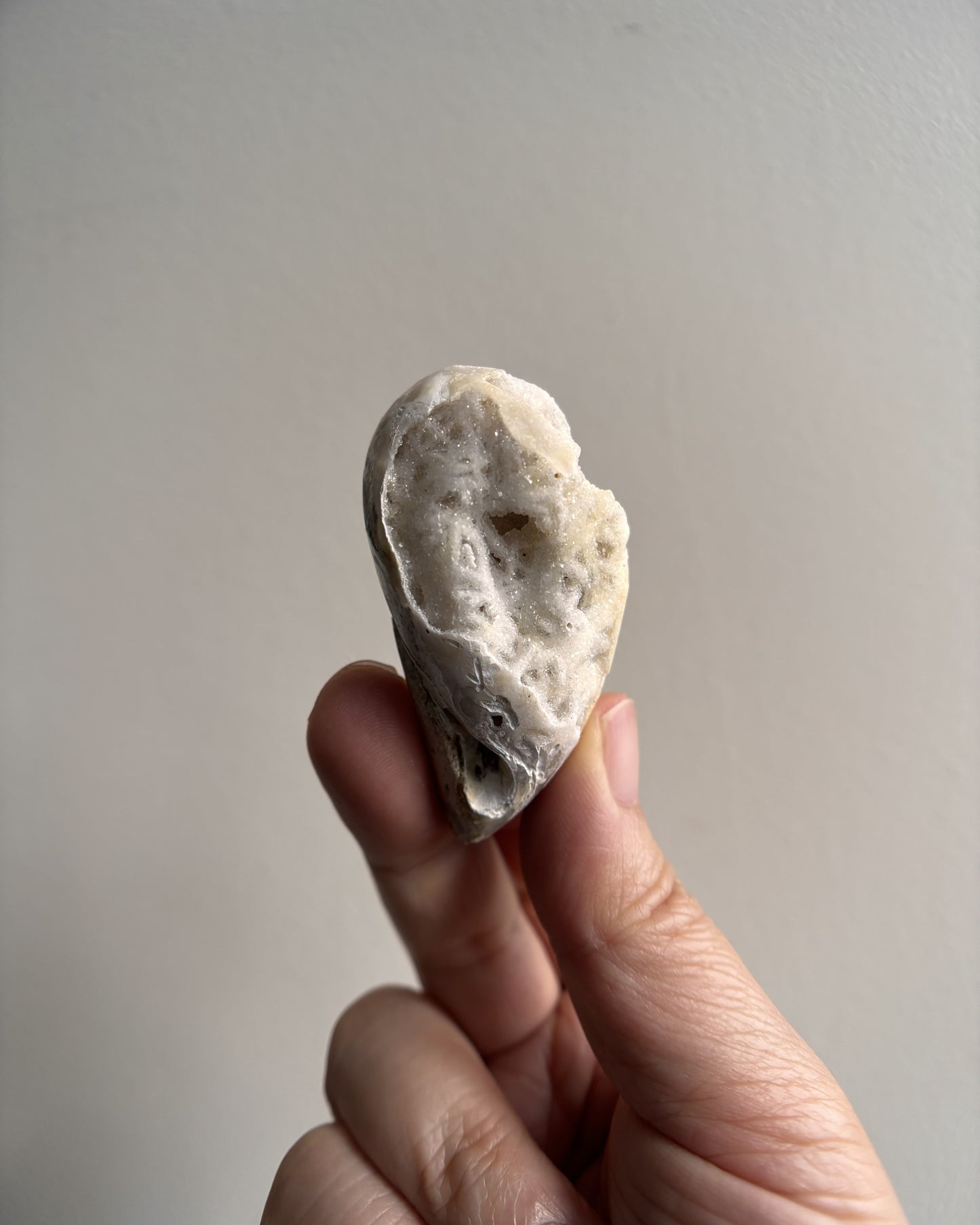 Fossilized Spiralite Quartz Shells 33.4g