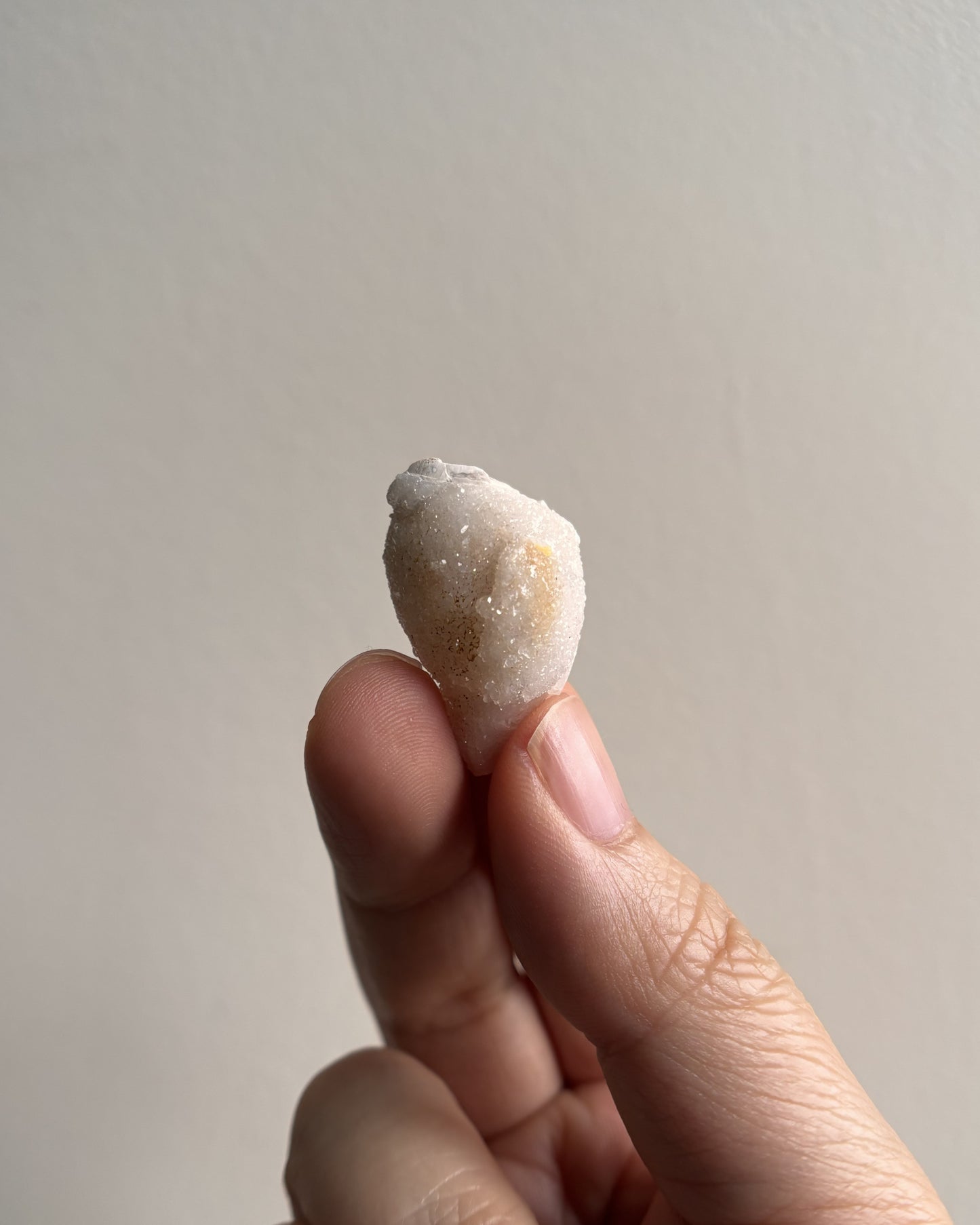Fossilized Spiralite Quartz Shells 5.3g