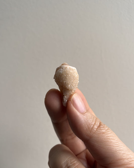 Fossilized Spiralite Quartz Shells 5.5g