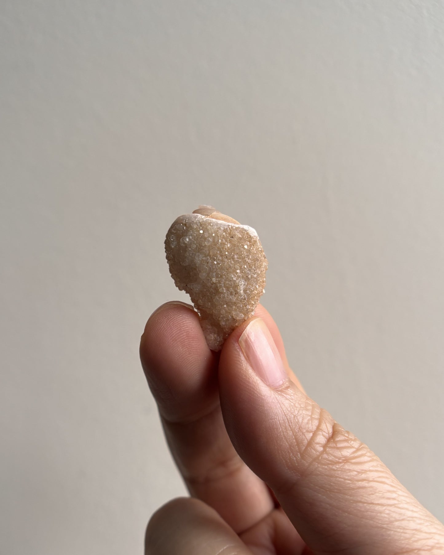 Fossilized Spiralite Quartz Shells 5.5g