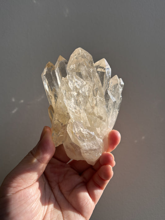 Jenipapo Citrine 336g