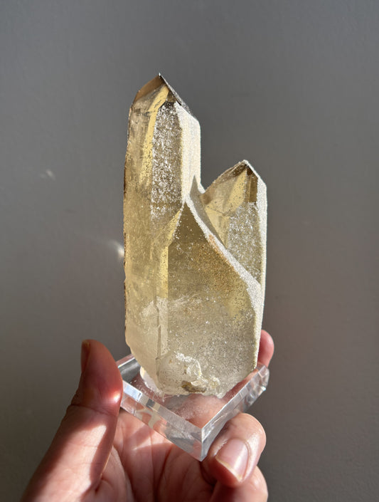 Jenipapo Citrine 435g