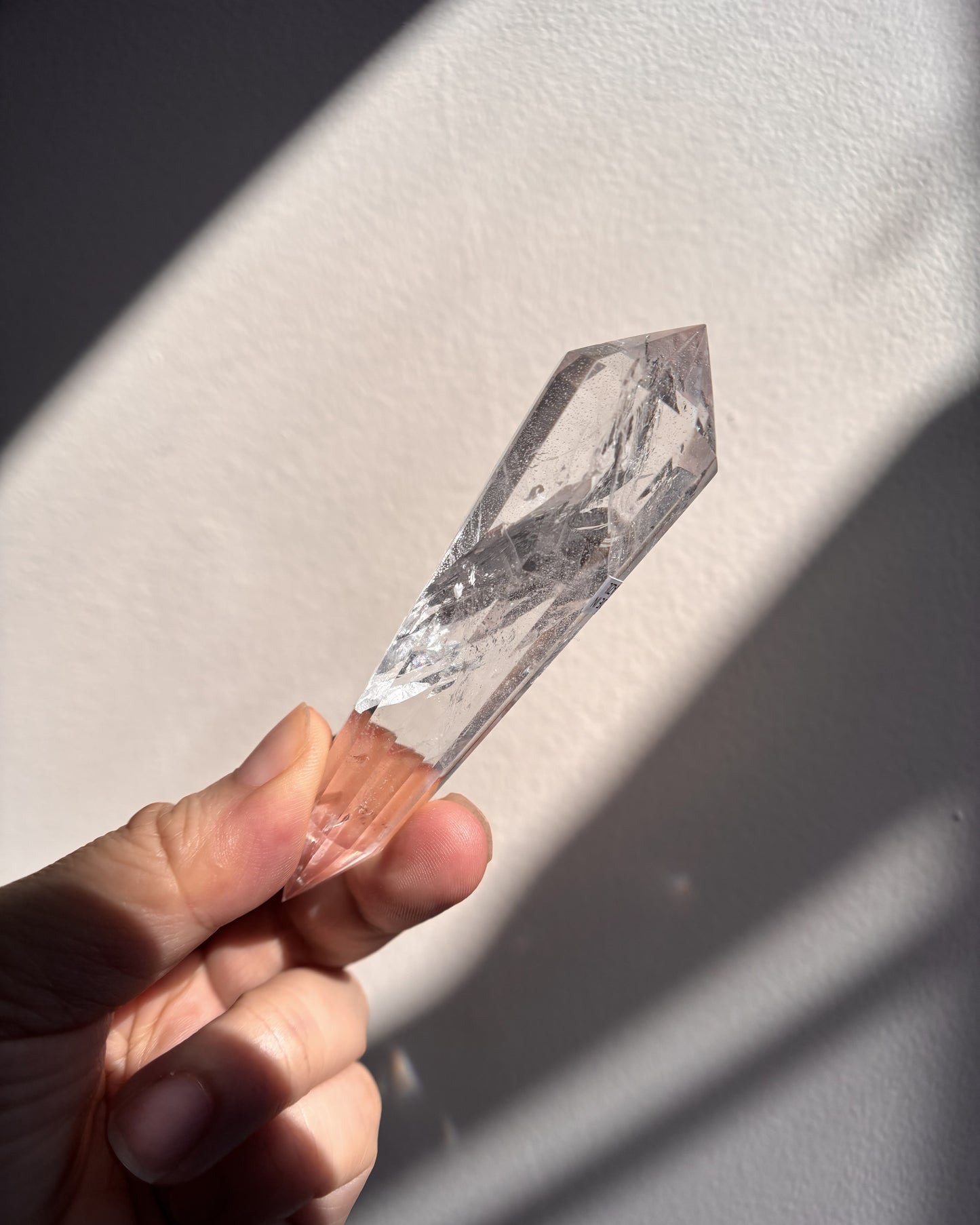 Lemurian Vogel 65.9g