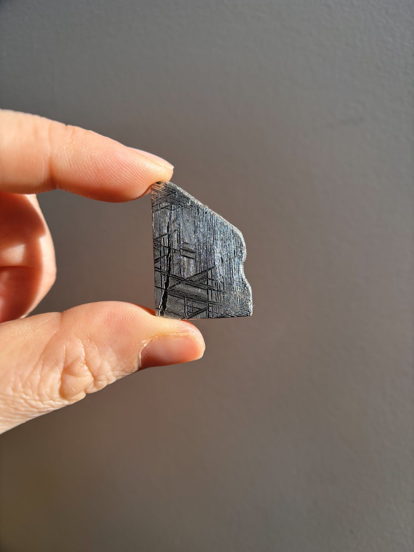 High-Grade Muonionalusta Meteorite 10g