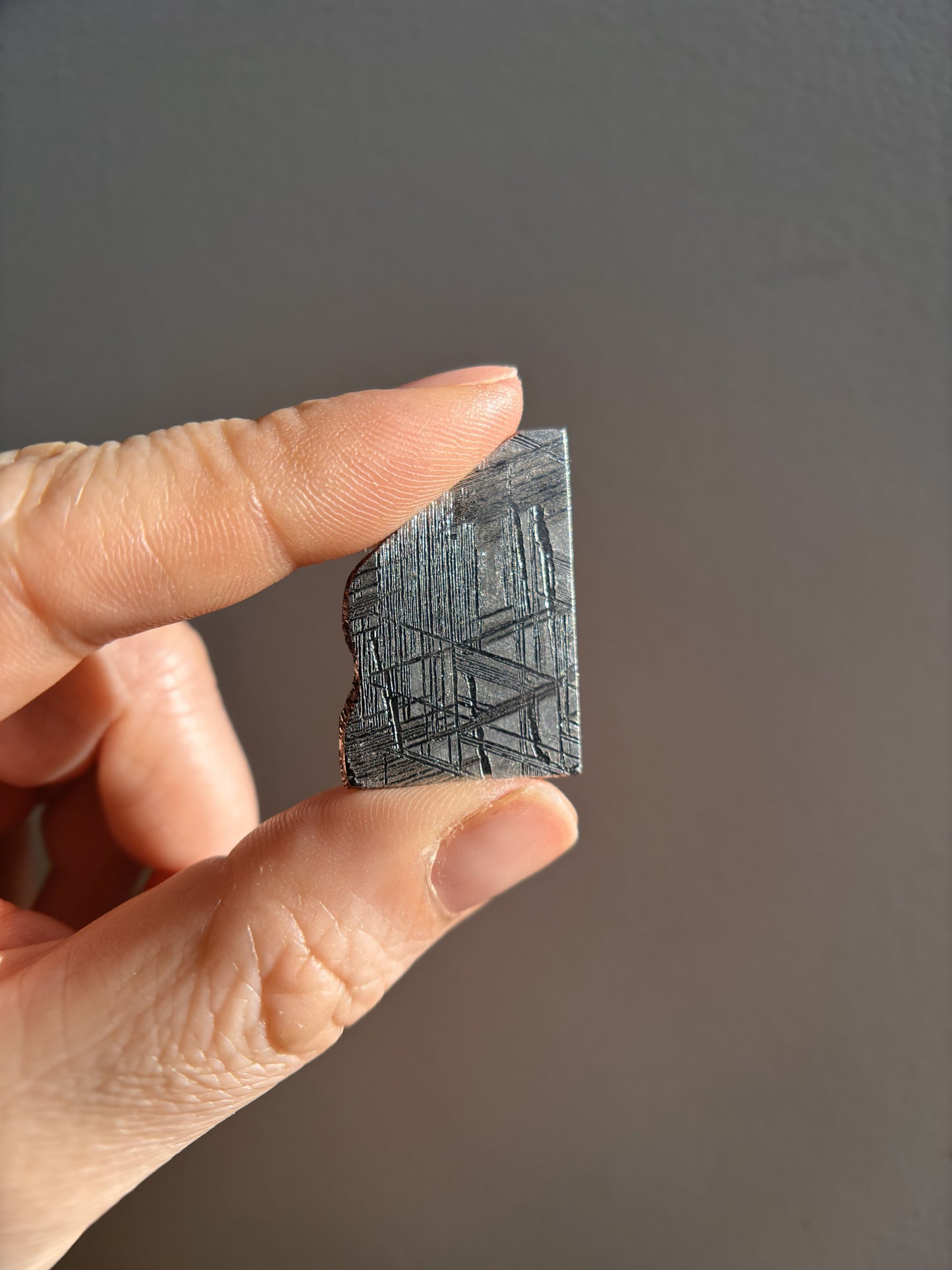 High-Grade Muonionalusta Meteorite 10g