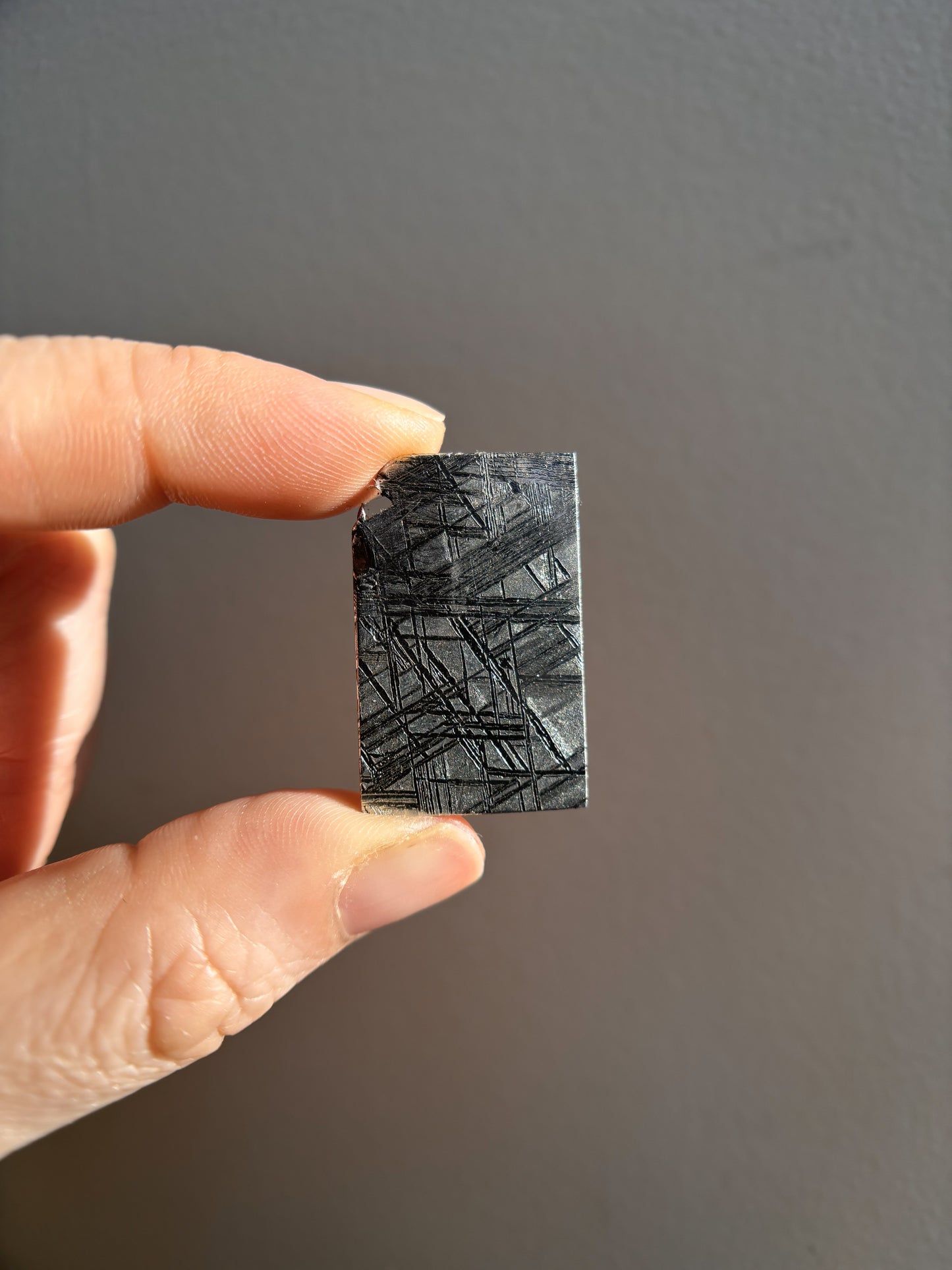 High-Grade Muonionalusta Meteorite 12.2g