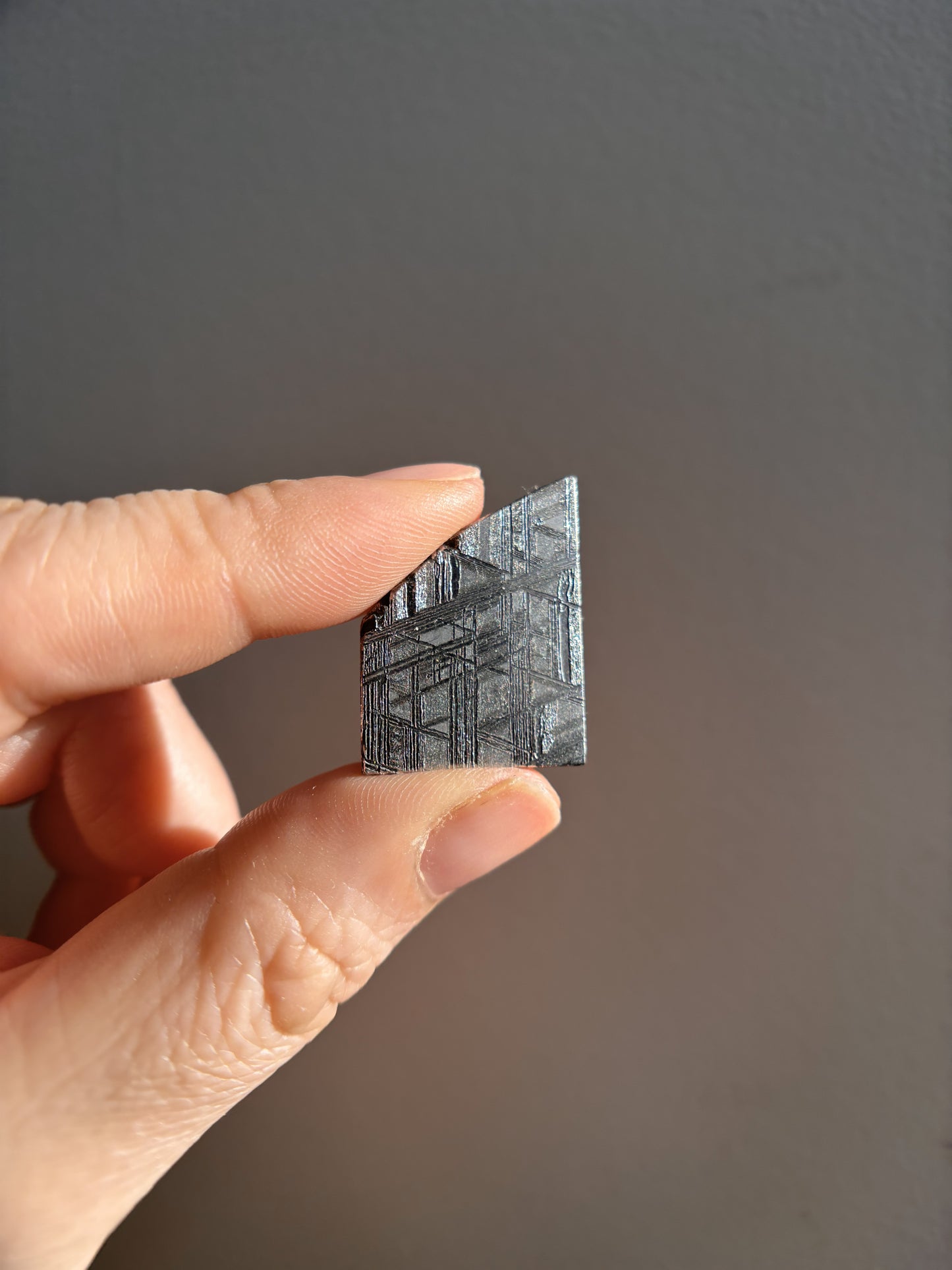 High-Grade Muonionalusta Meteorite 8.4g