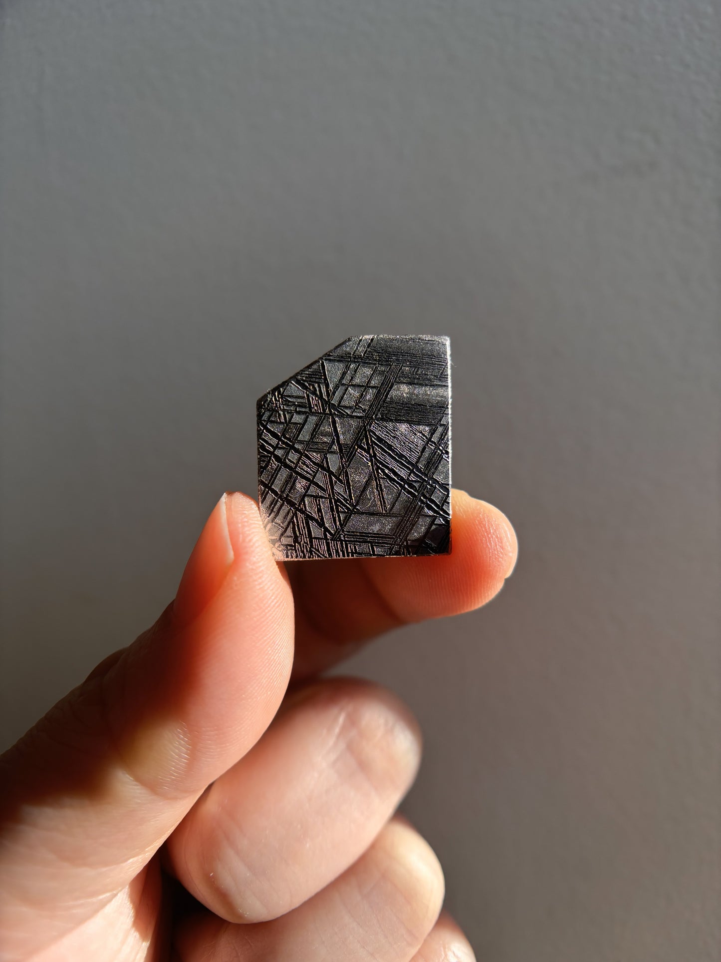 High-Grade Muonionalusta Meteorite 8.5g