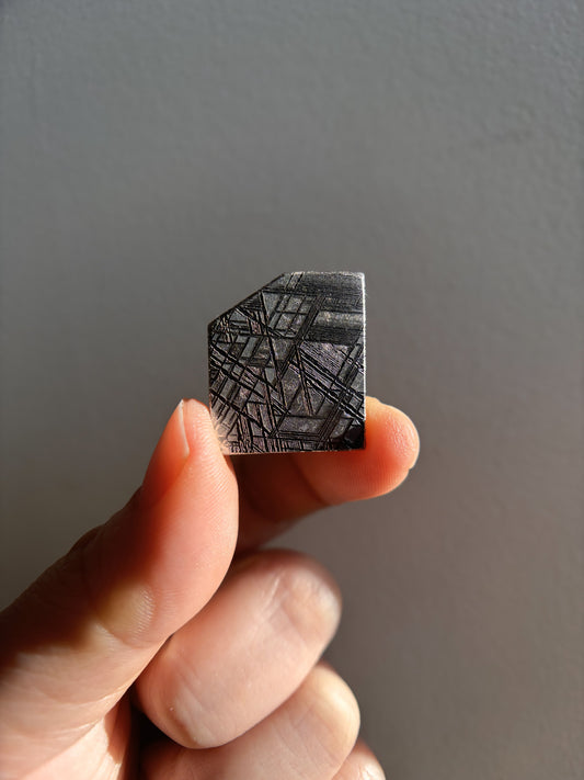 High-Grade Muonionalusta Meteorite 8.5g