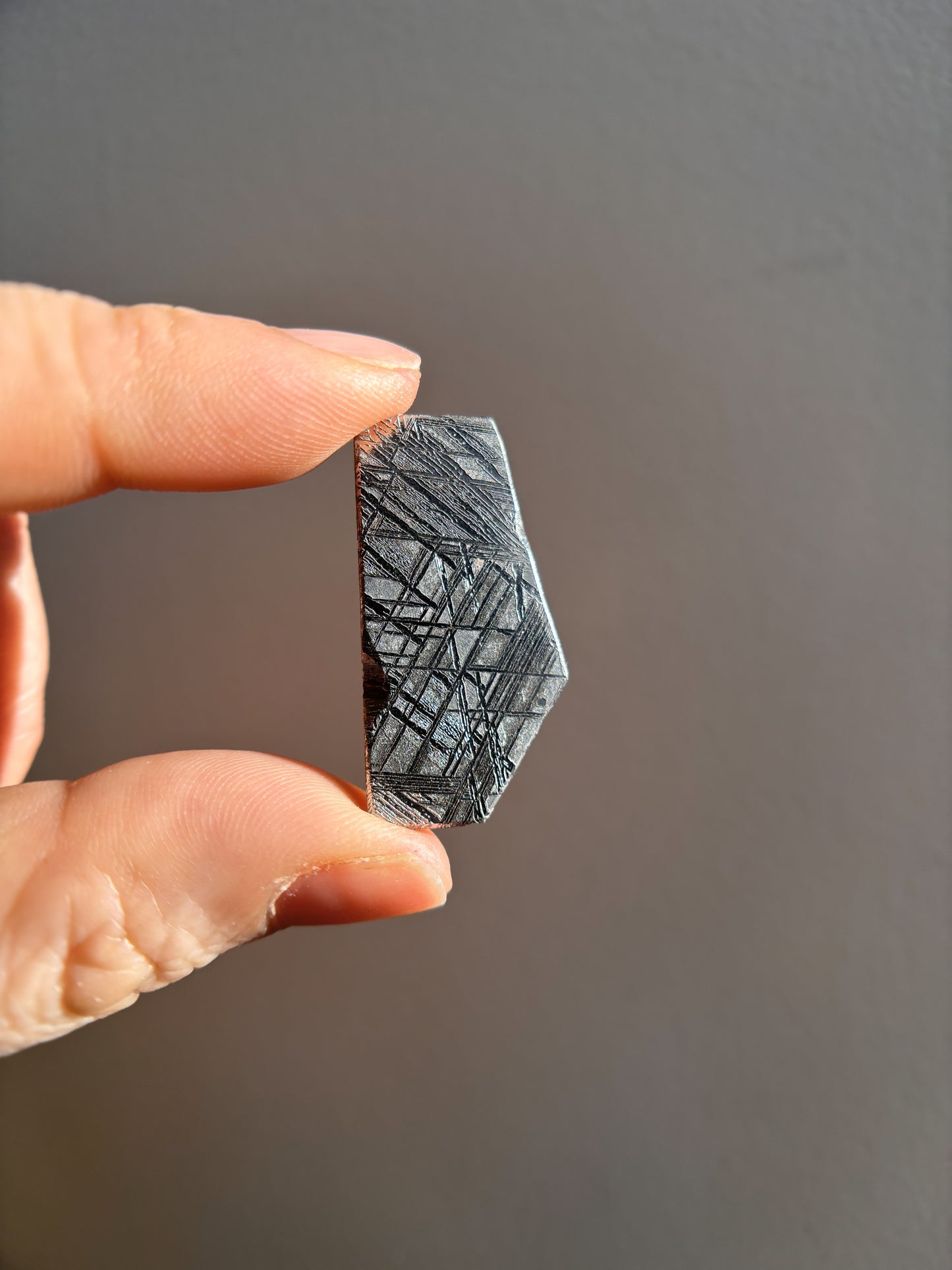 High-Grade Muonionalusta Meteorite 9.2g