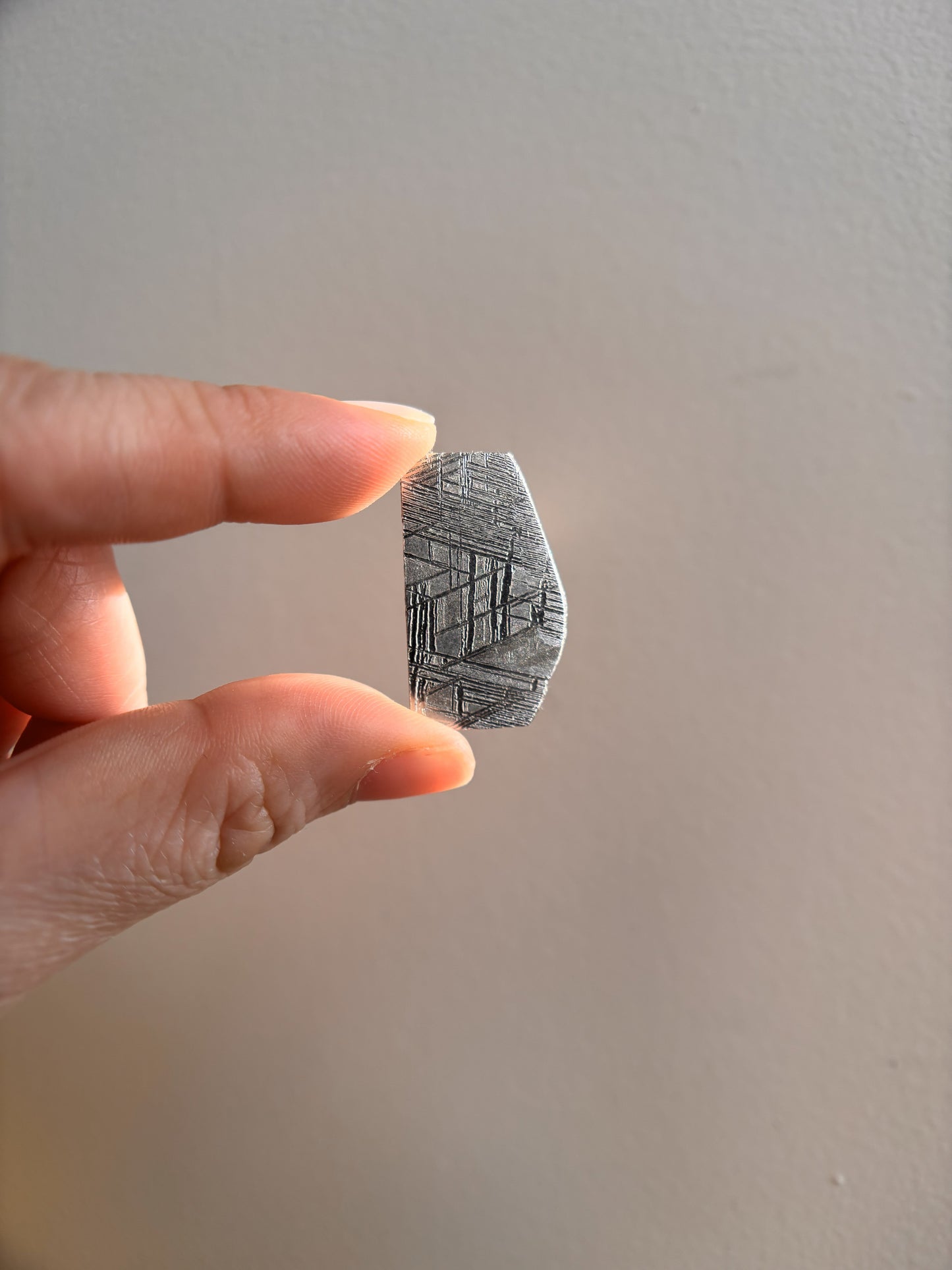 High-Grade Muonionalusta Meteorite 9.3g
