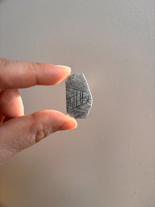 High-Grade Muonionalusta Meteorite 9.3g