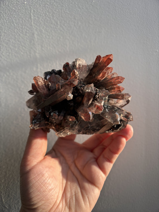 Nevara Quartz 449g