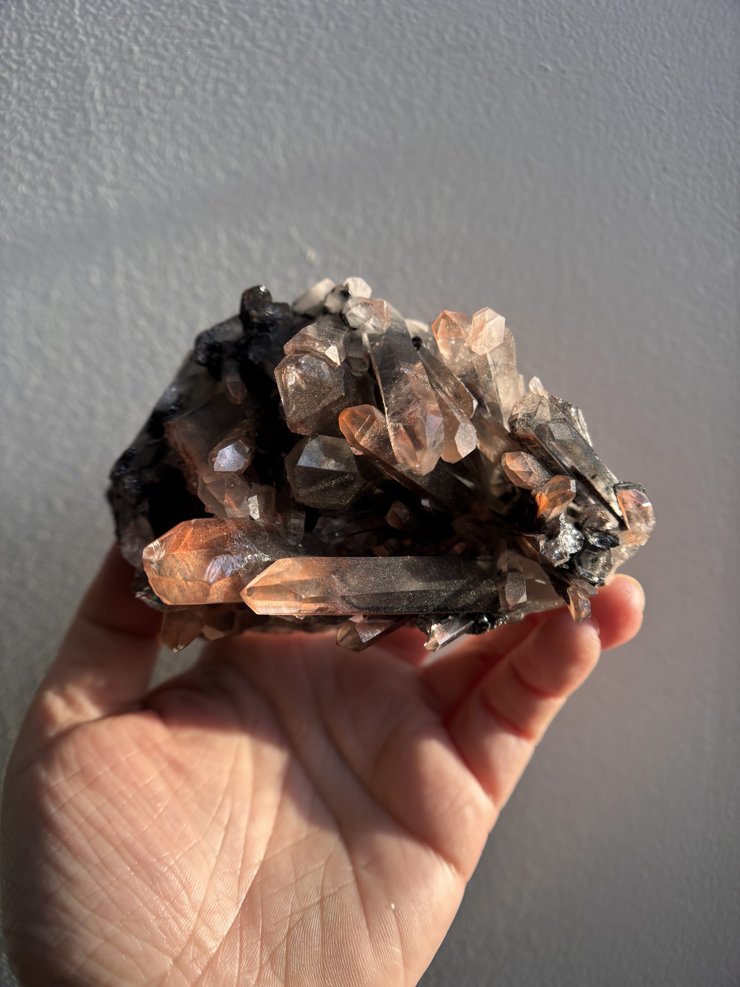 Nevara Quartz 500g