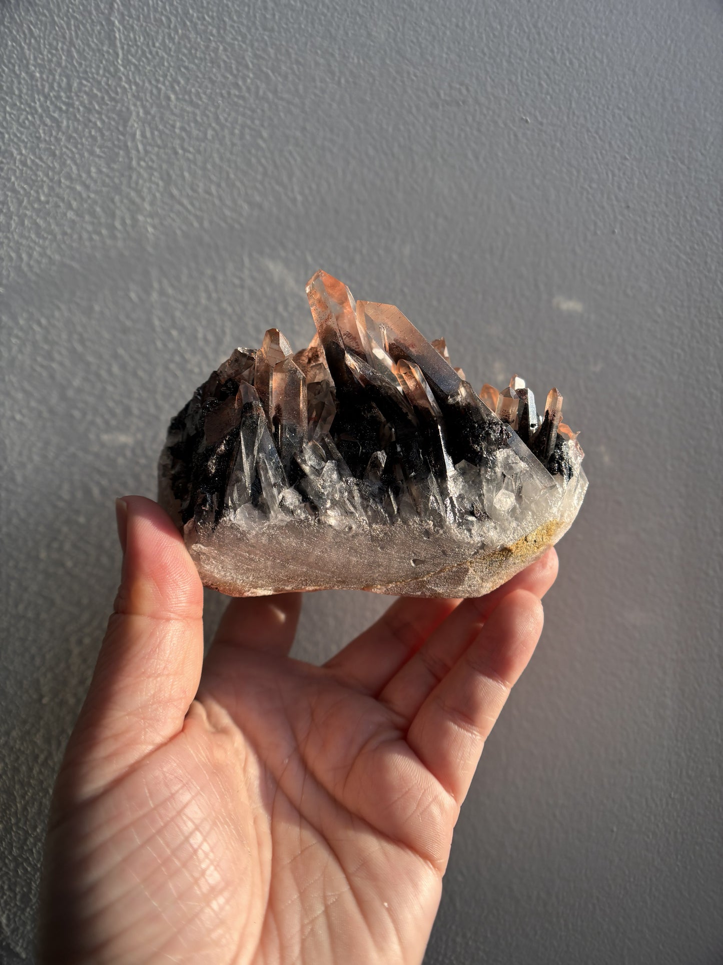 Nevara Quartz 500g