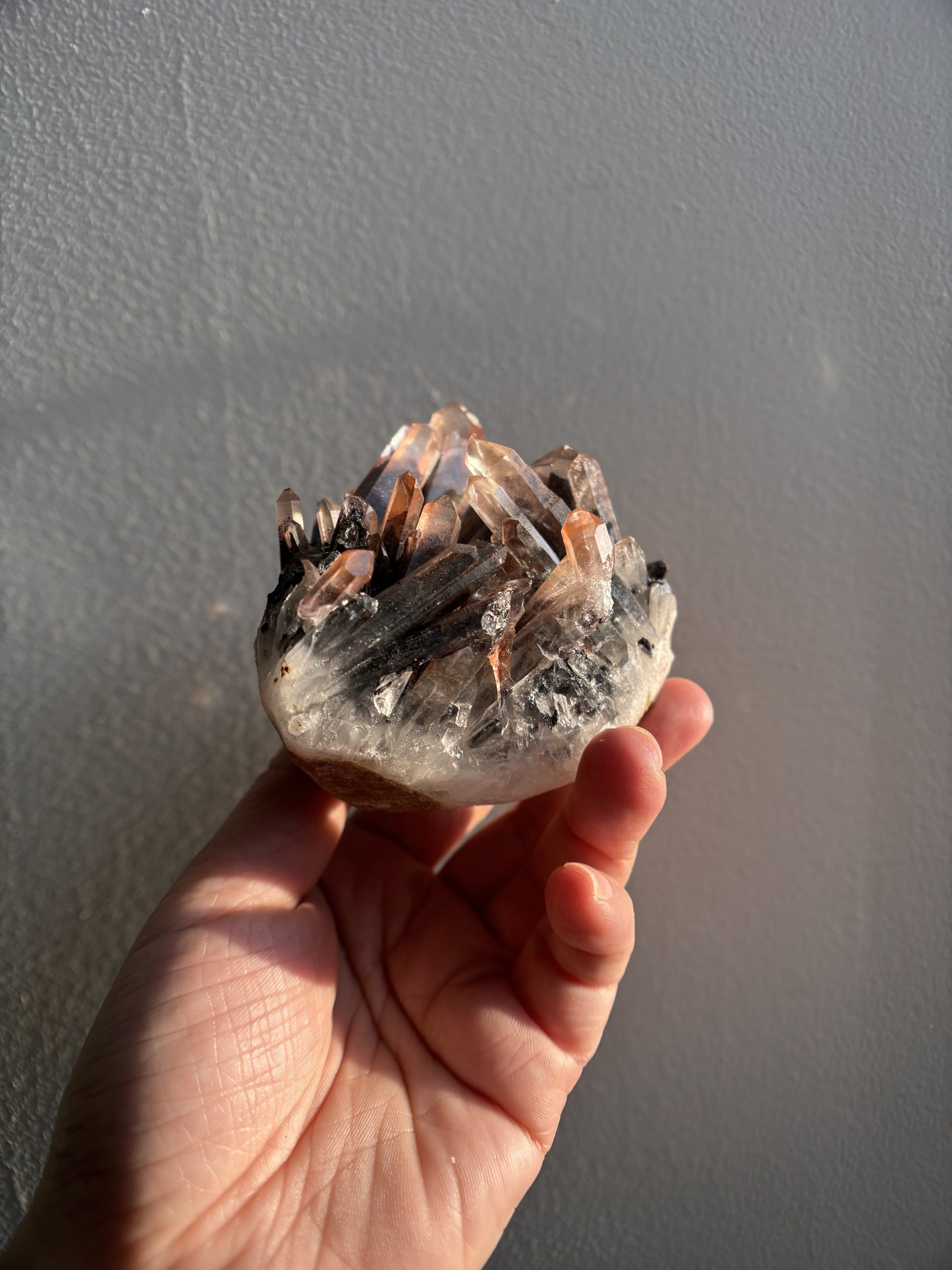 Nevara Quartz 500g