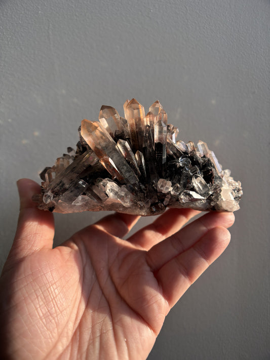 Nevara Quartz 676g