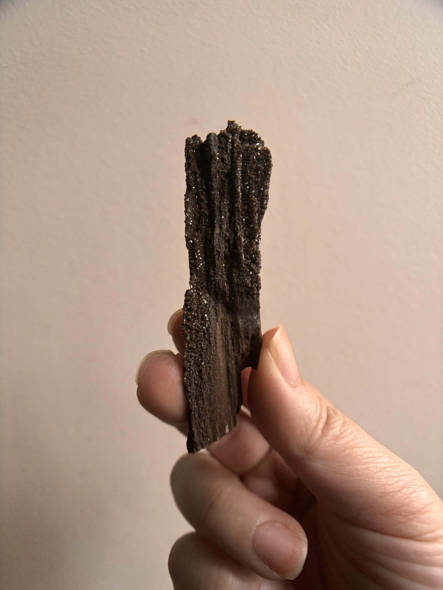 Permineralized Fossil Wood with Quartz 19.5g