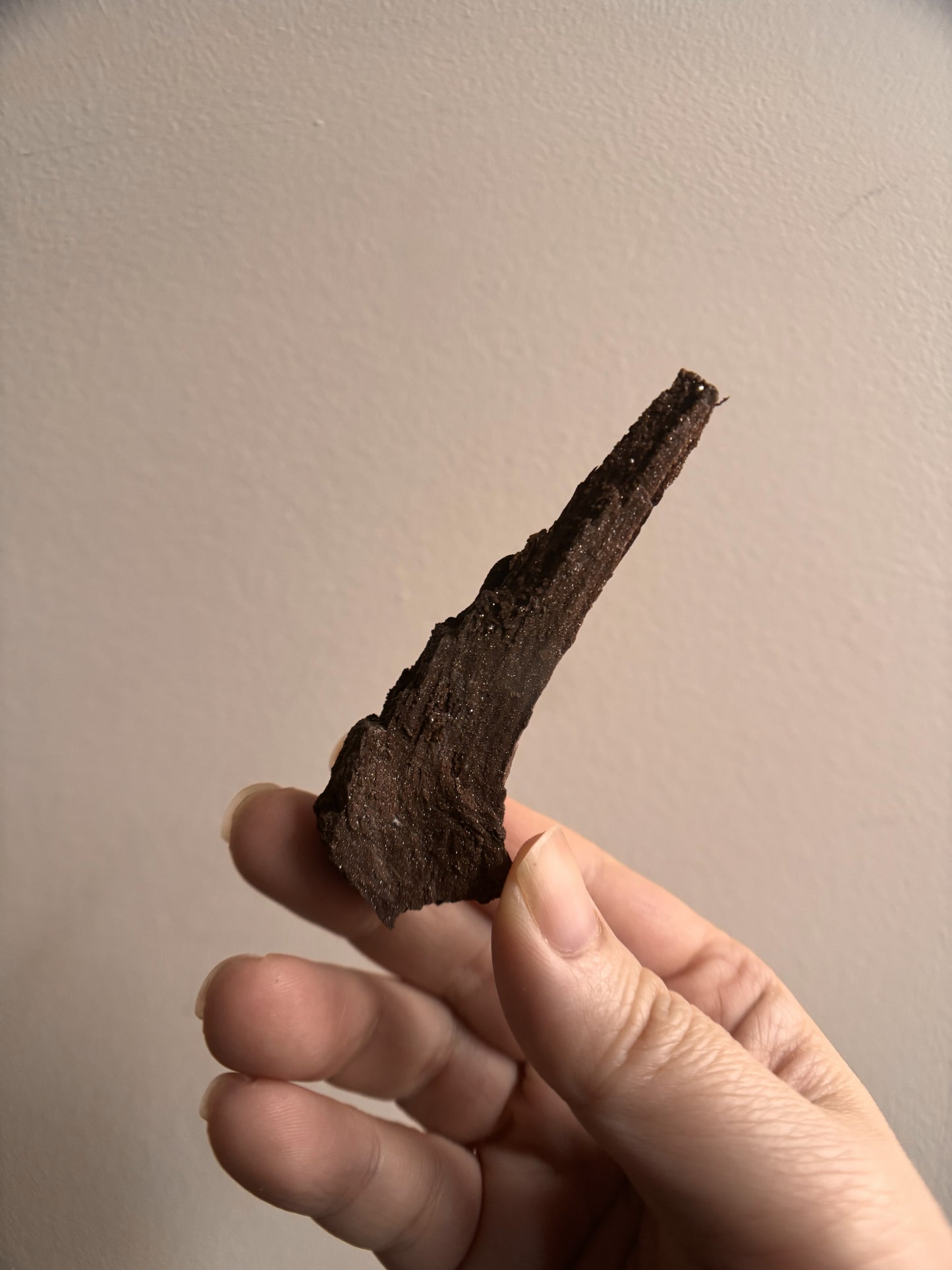 Permineralized Fossil Wood with Quartz 20.7g