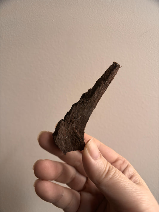 Permineralized Fossil Wood with Quartz 20.7g
