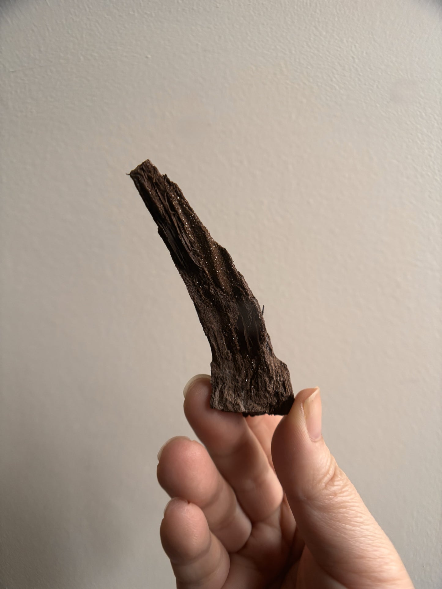 Permineralized Fossil Wood with Quartz 20.7g