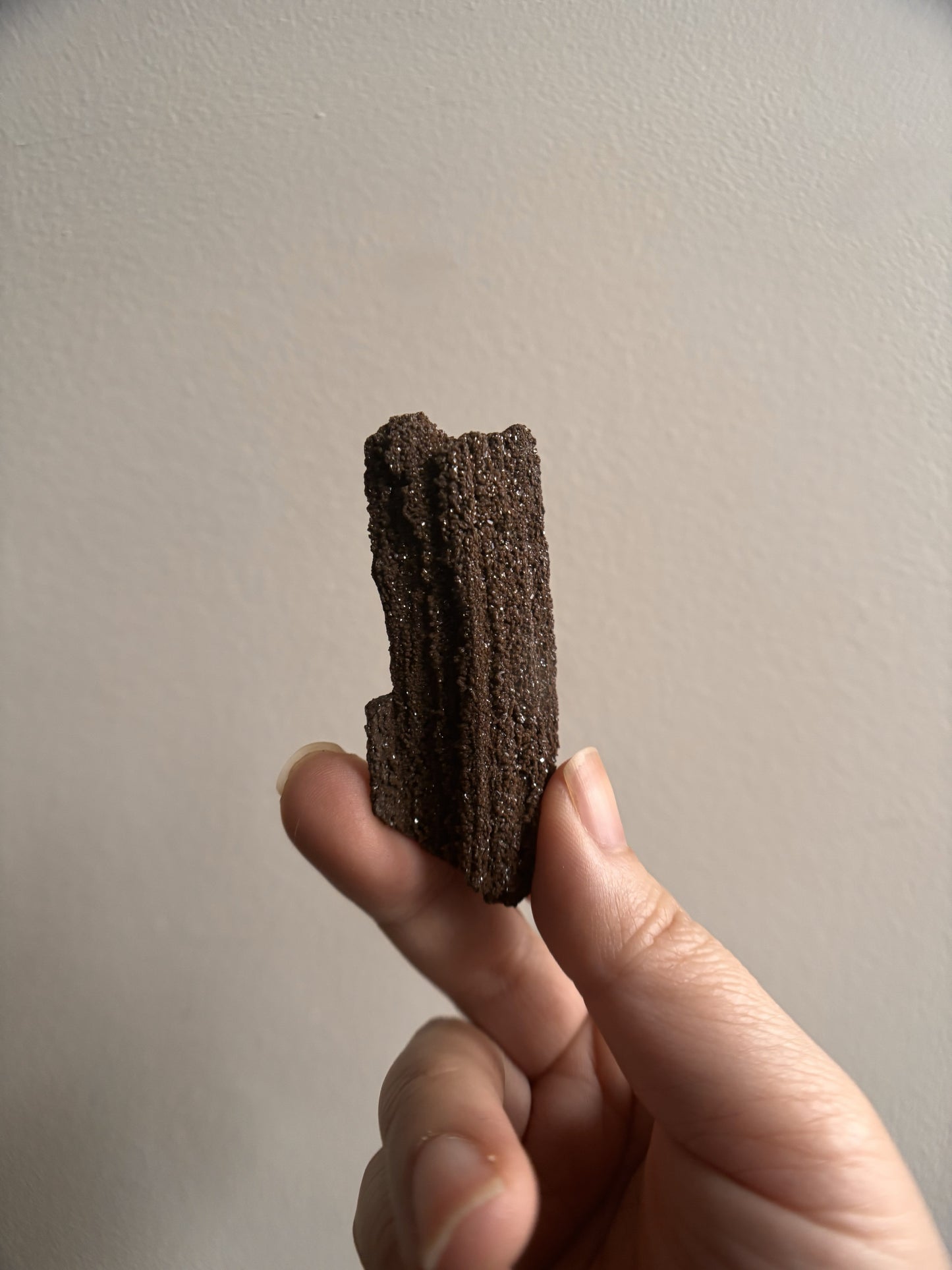 Permineralized Fossil Wood with Quartz 20g