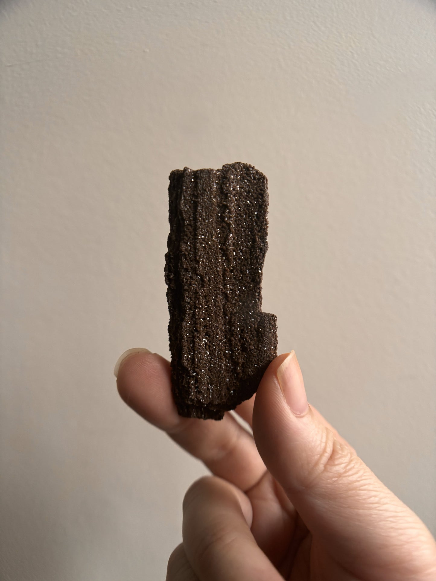Permineralized Fossil Wood with Quartz 20g