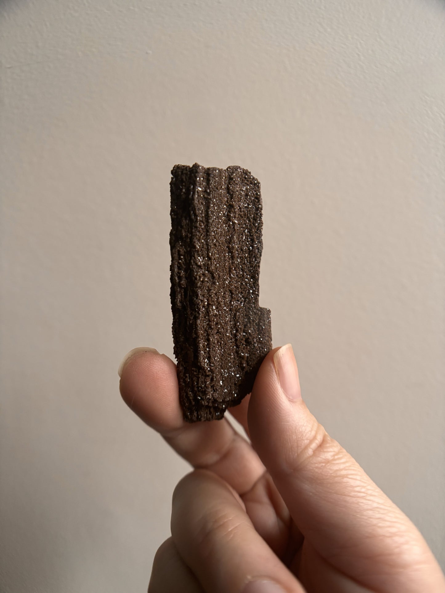 Permineralized Fossil Wood with Quartz 20g