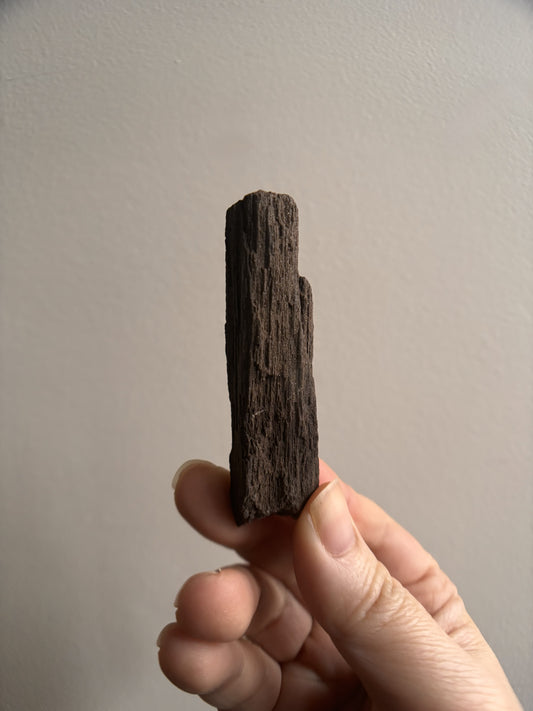 Permineralized Fossil Wood with Quartz 23g