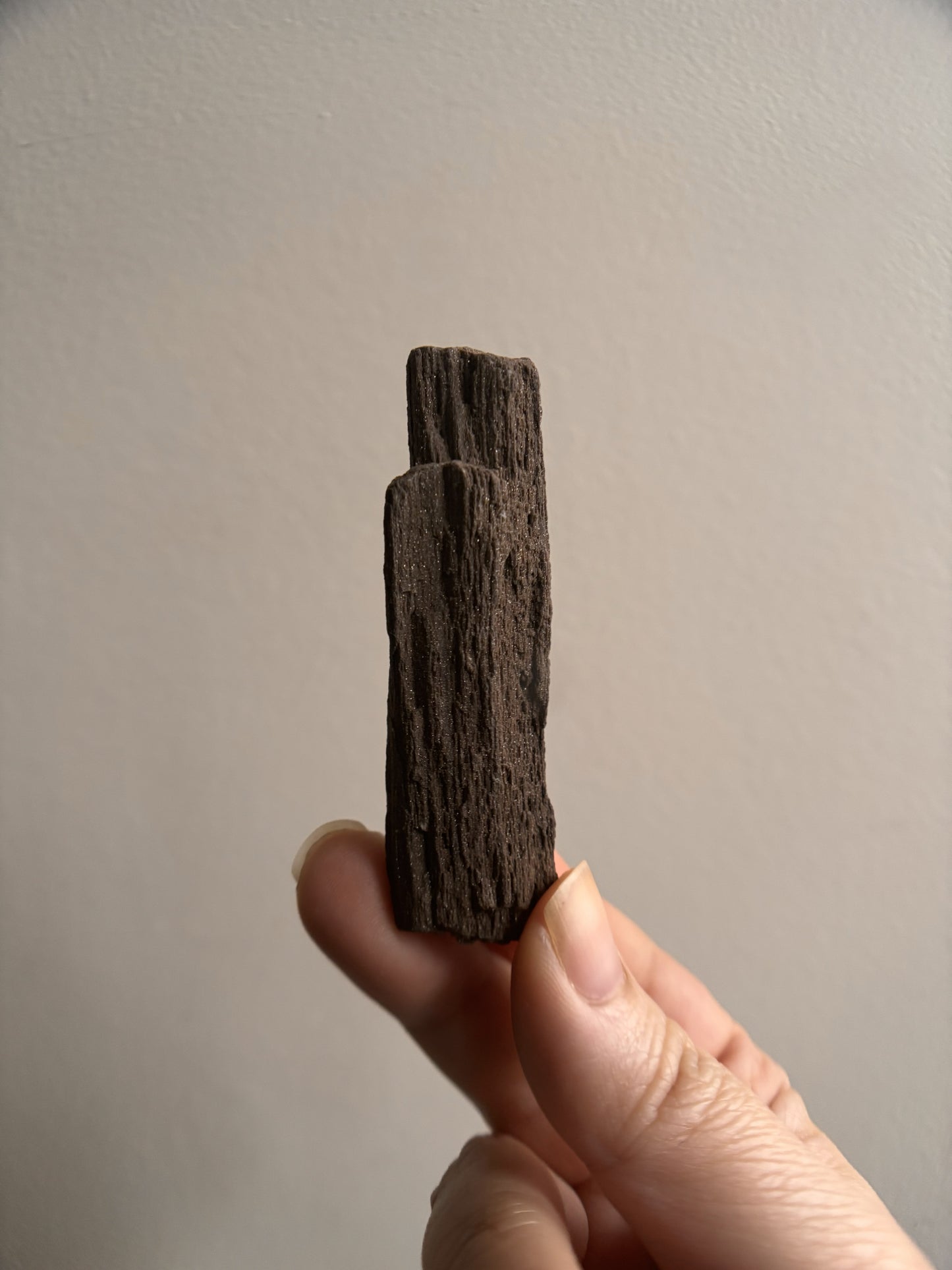 Permineralized Fossil Wood with Quartz 23g