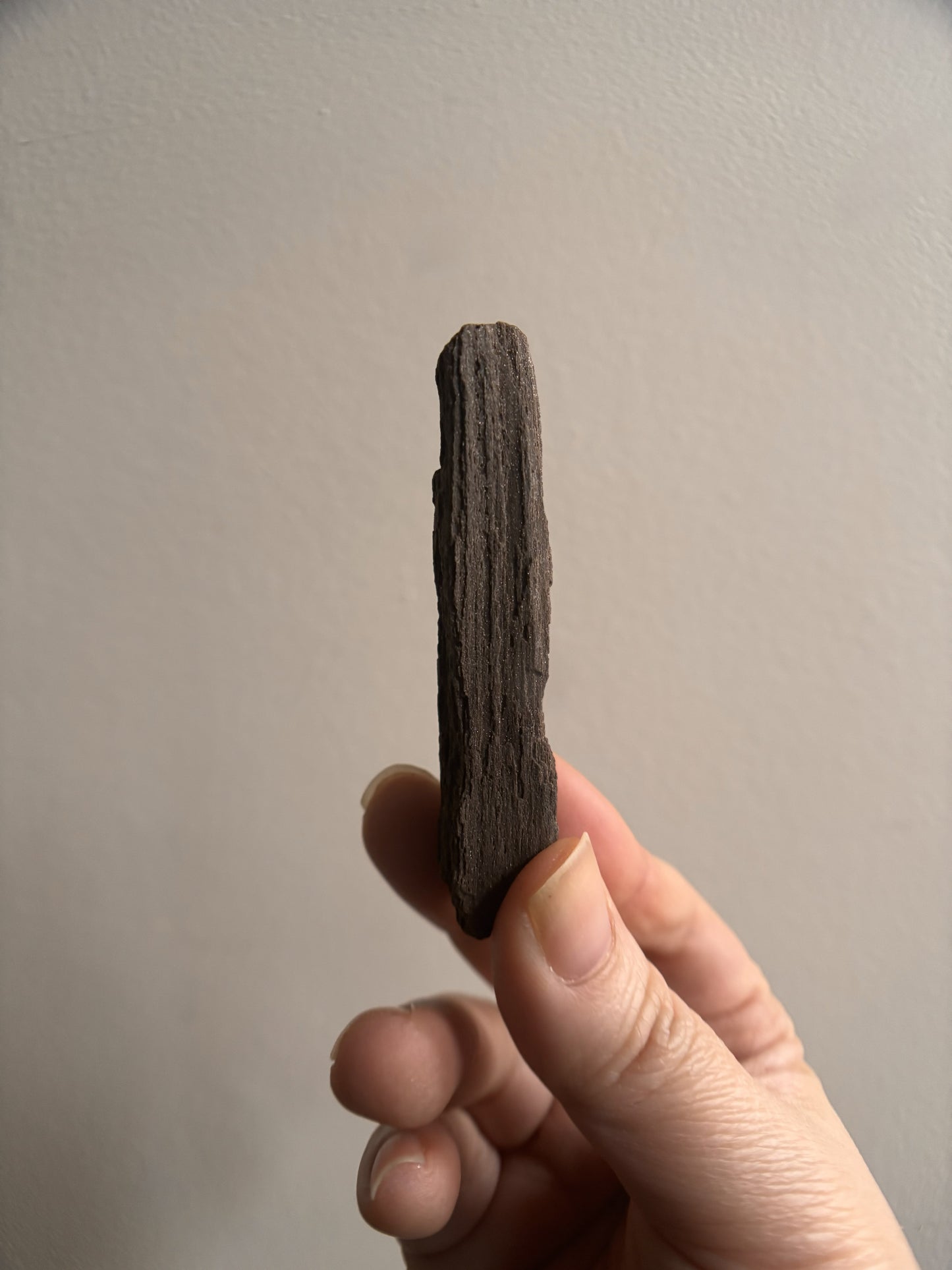 Permineralized Fossil Wood with Quartz 23g