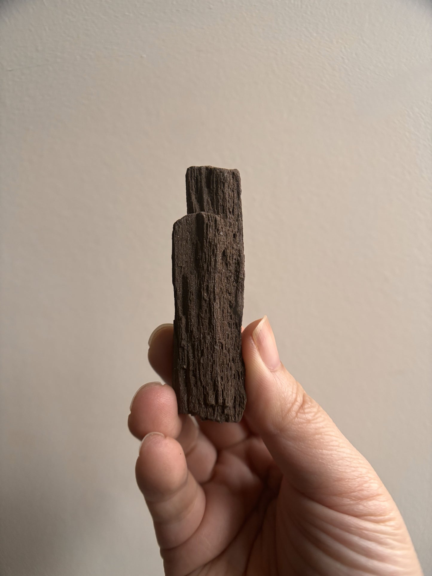 Permineralized Fossil Wood with Quartz 23g