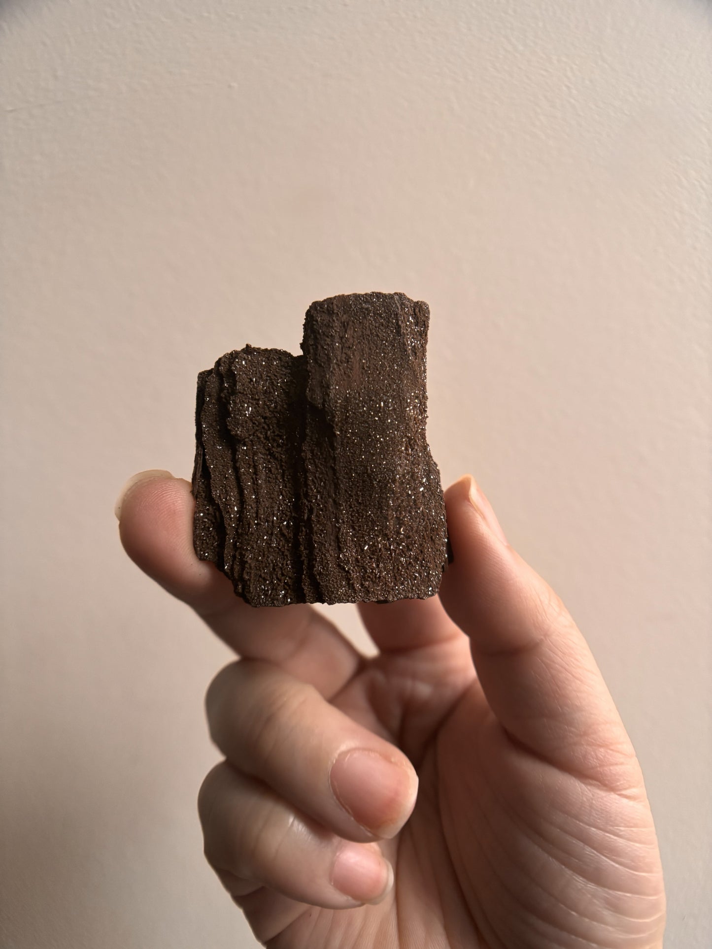 Permineralized Fossil Wood with Quartz 24g