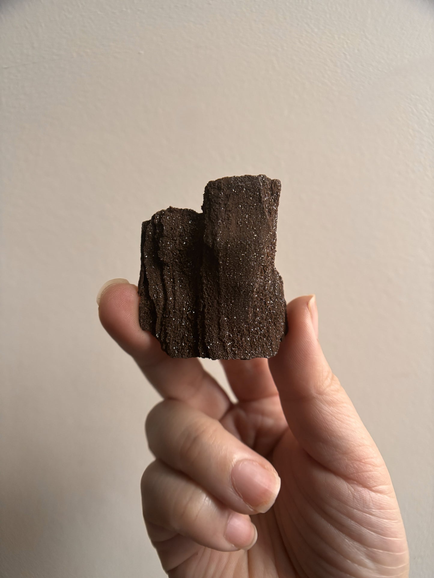Permineralized Fossil Wood with Quartz 24g