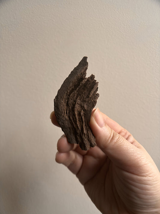 Permineralized Fossil Wood with Quartz 25g