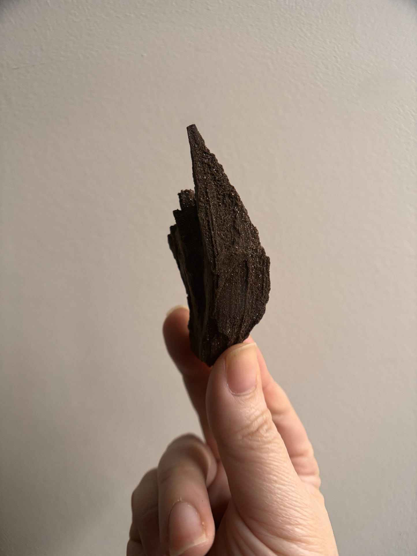 Permineralized Fossil Wood with Quartz 25g