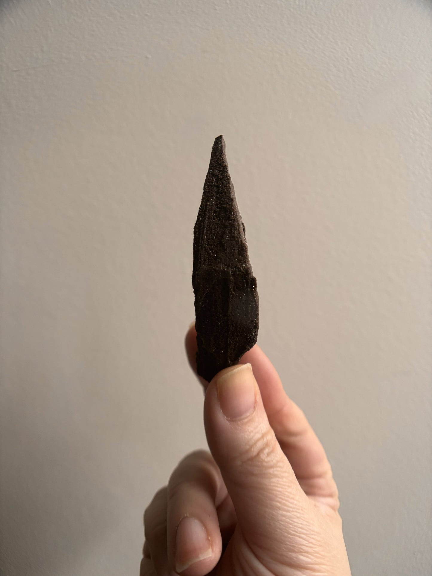 Permineralized Fossil Wood with Quartz 25g
