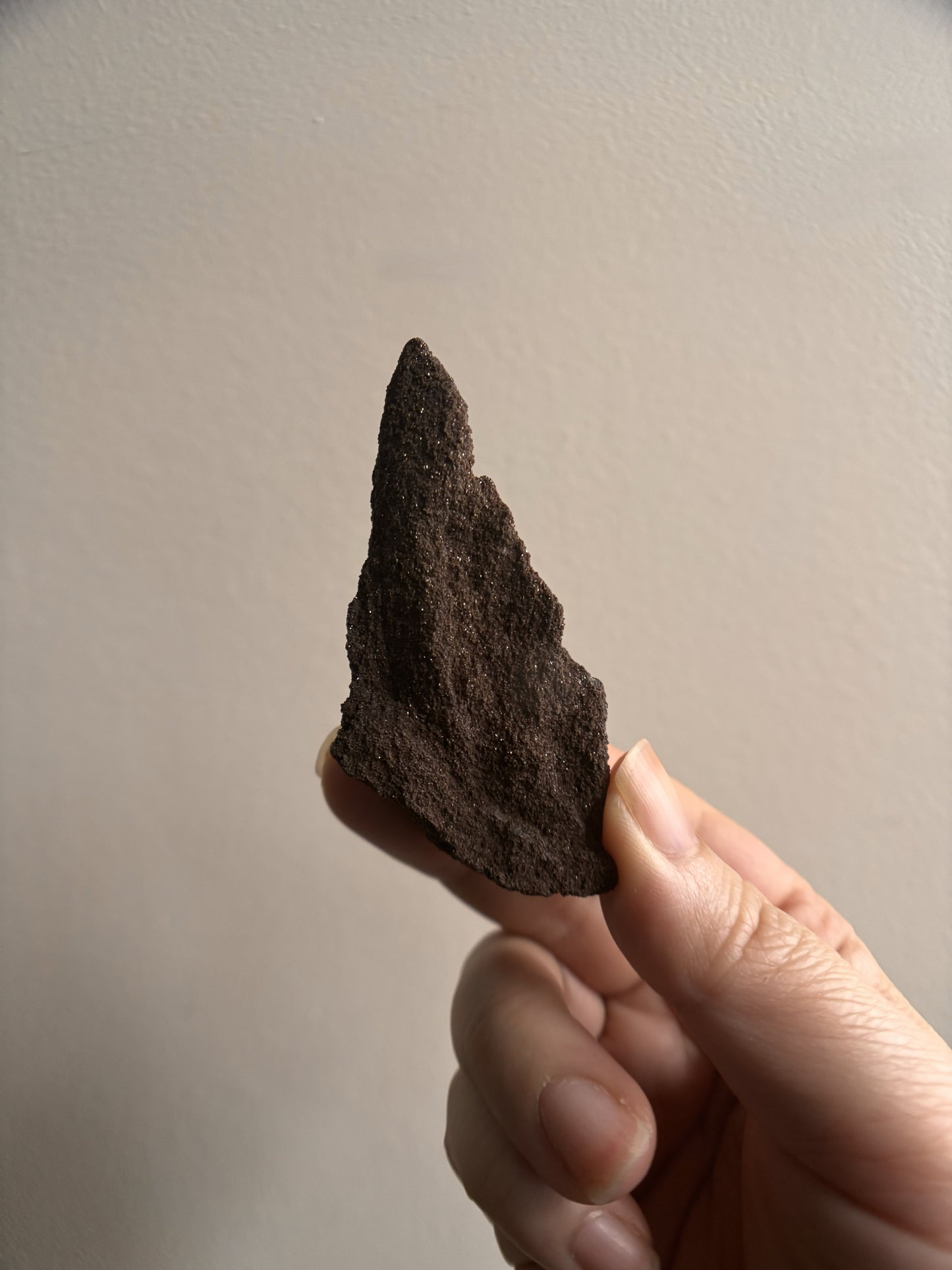 Permineralized Fossil Wood with Quartz 26.6g