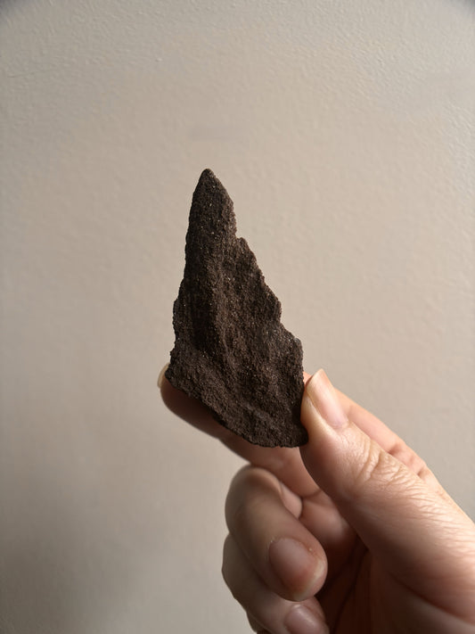 Permineralized Fossil Wood with Quartz 26.6g
