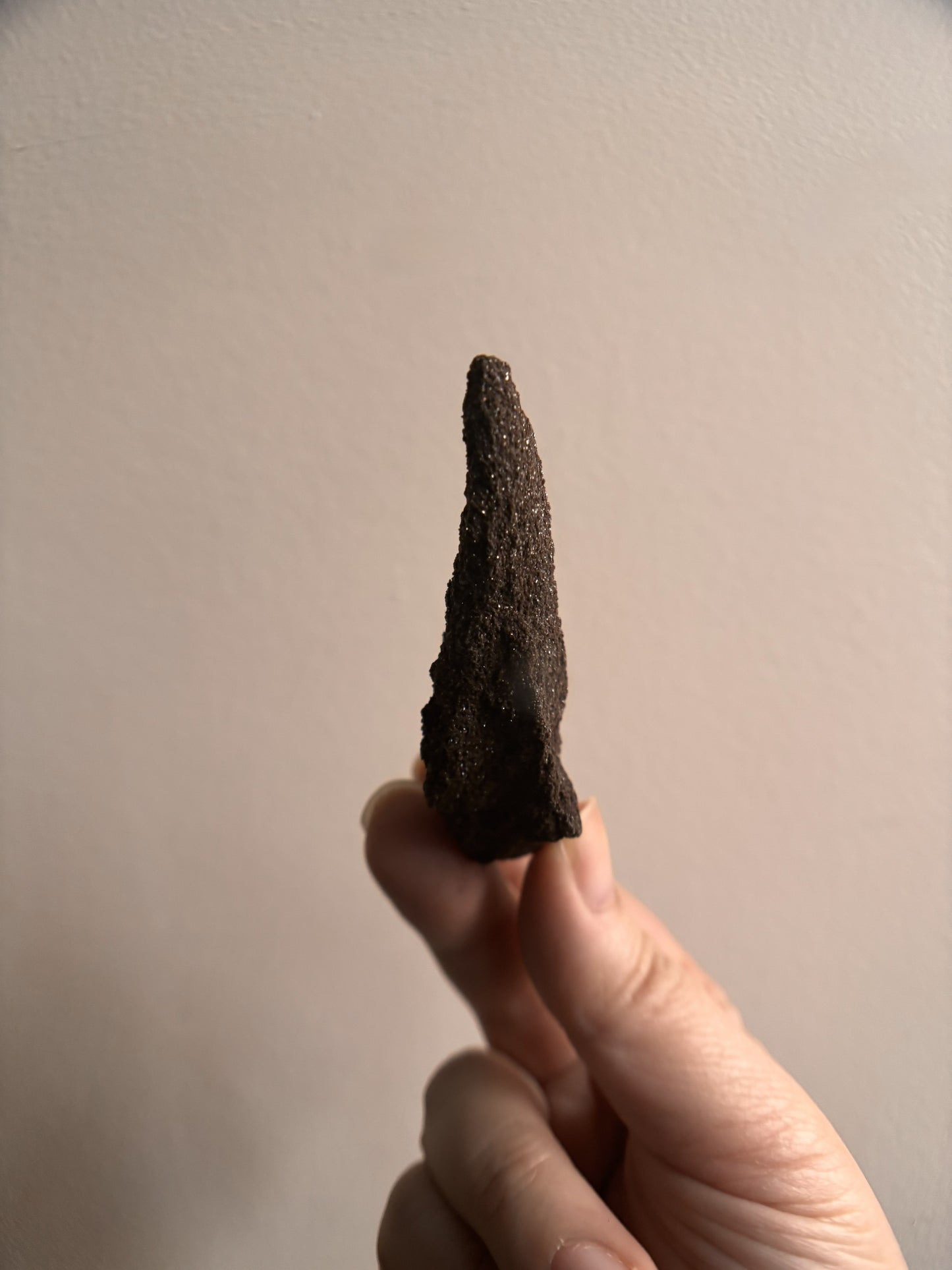 Permineralized Fossil Wood with Quartz 26.6g