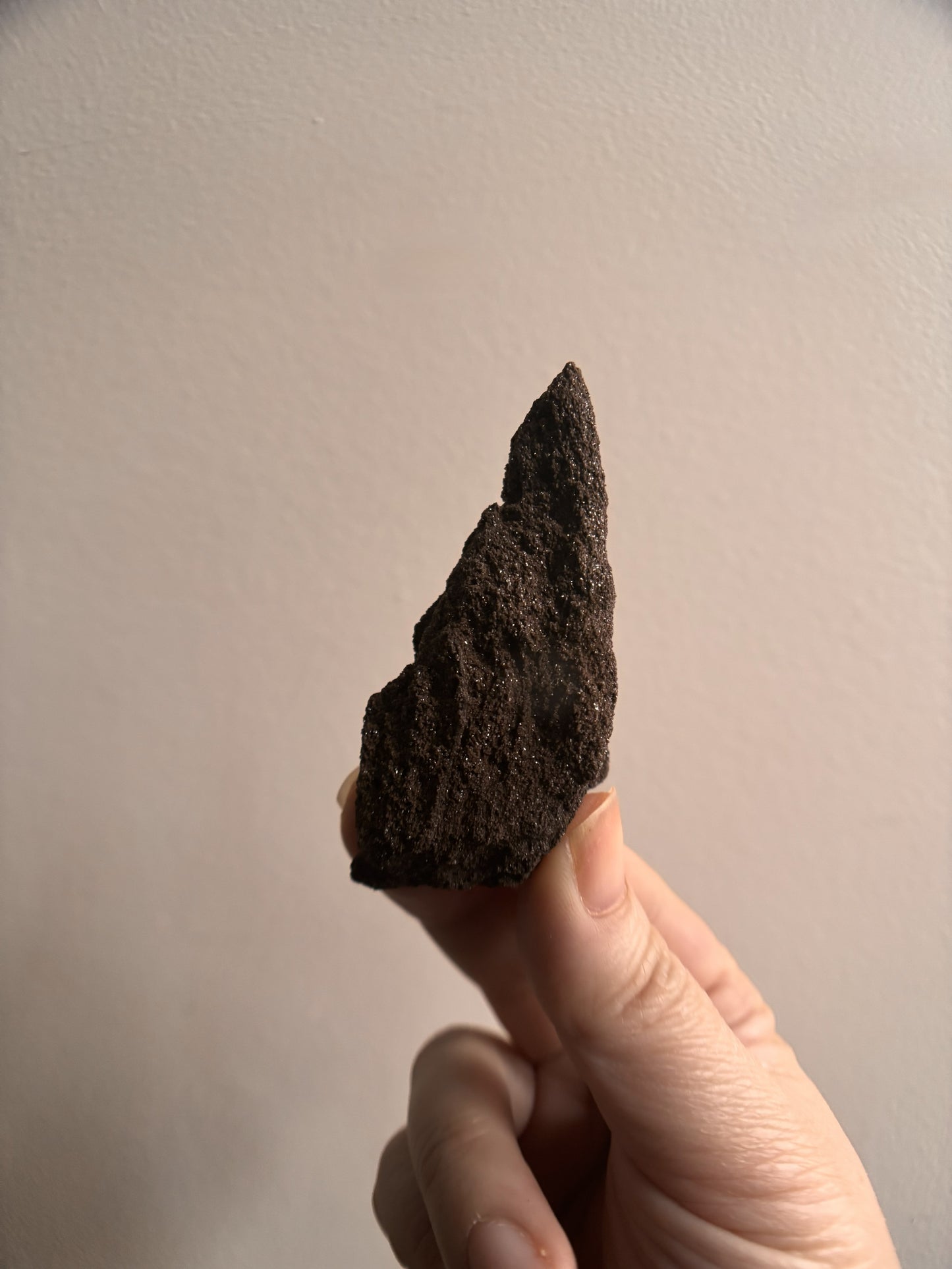 Permineralized Fossil Wood with Quartz 26.6g