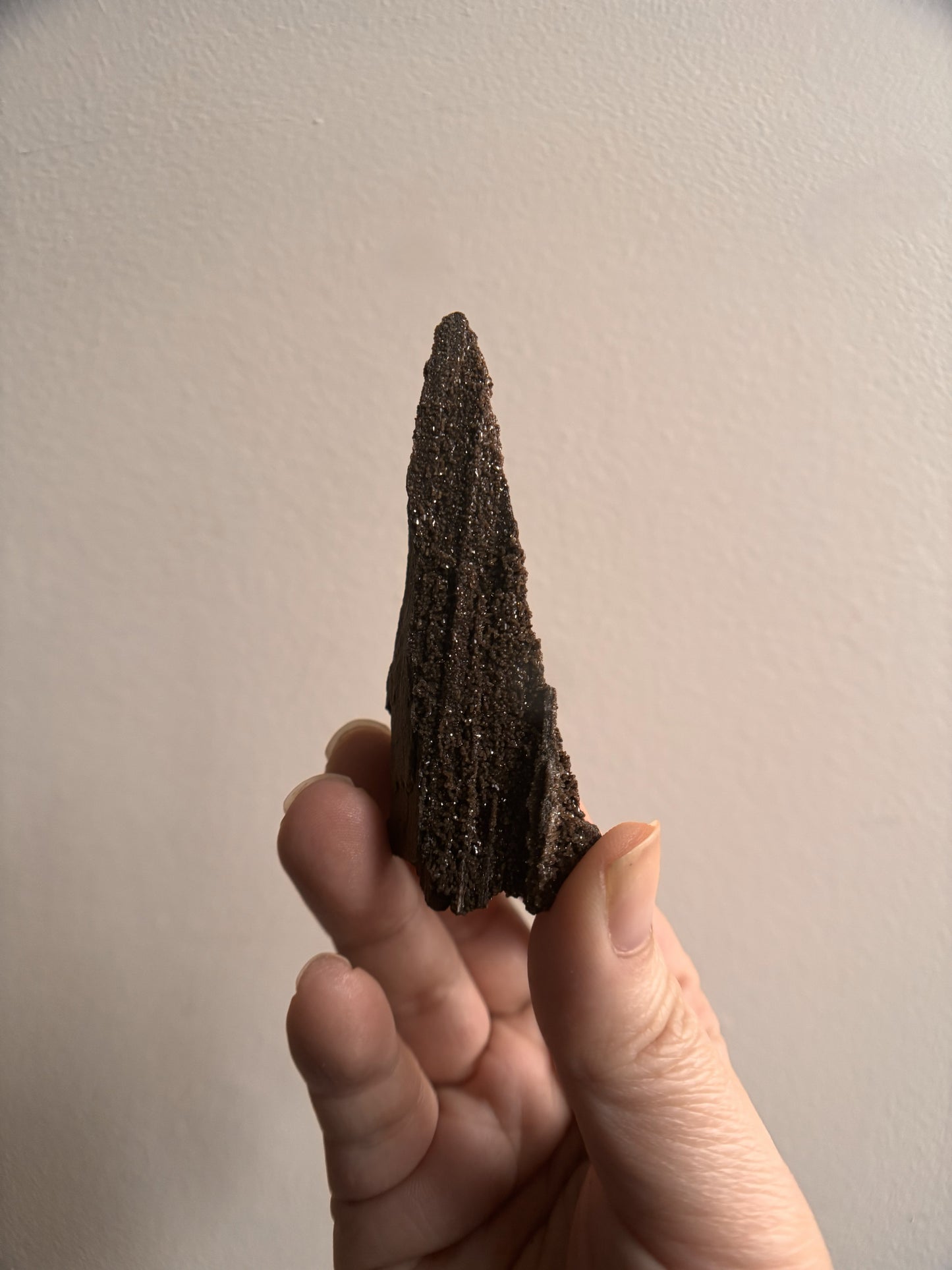 Permineralized Fossil Wood with Quartz 30.4g