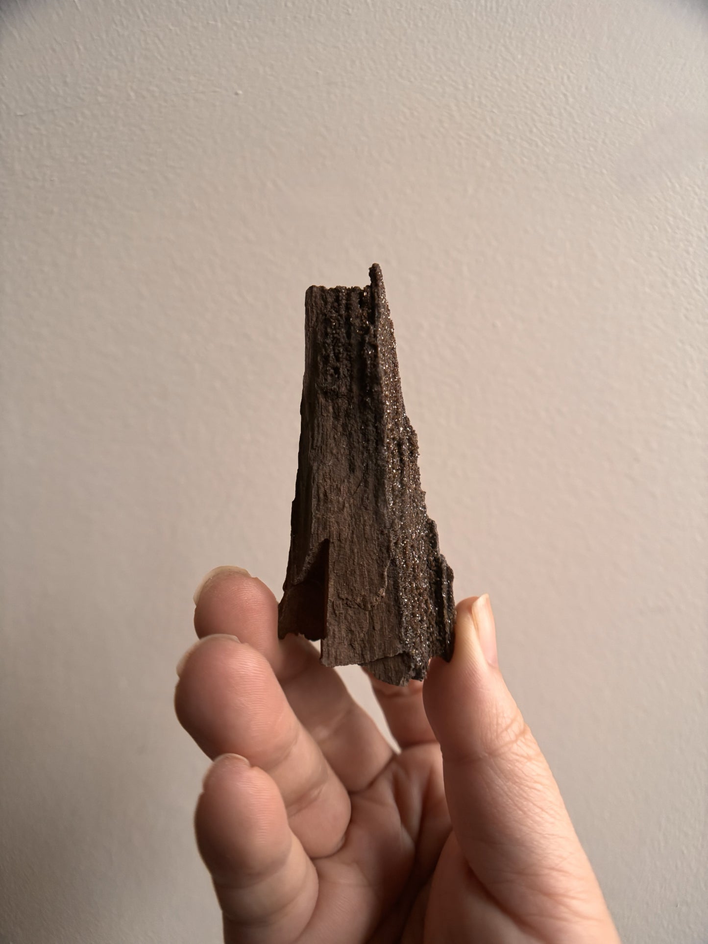 Permineralized Fossil Wood with Quartz 30.4g