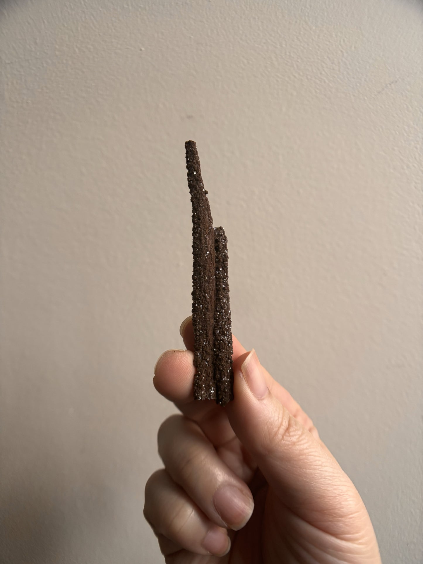 Permineralized Fossil Wood with Quartz 5.6g