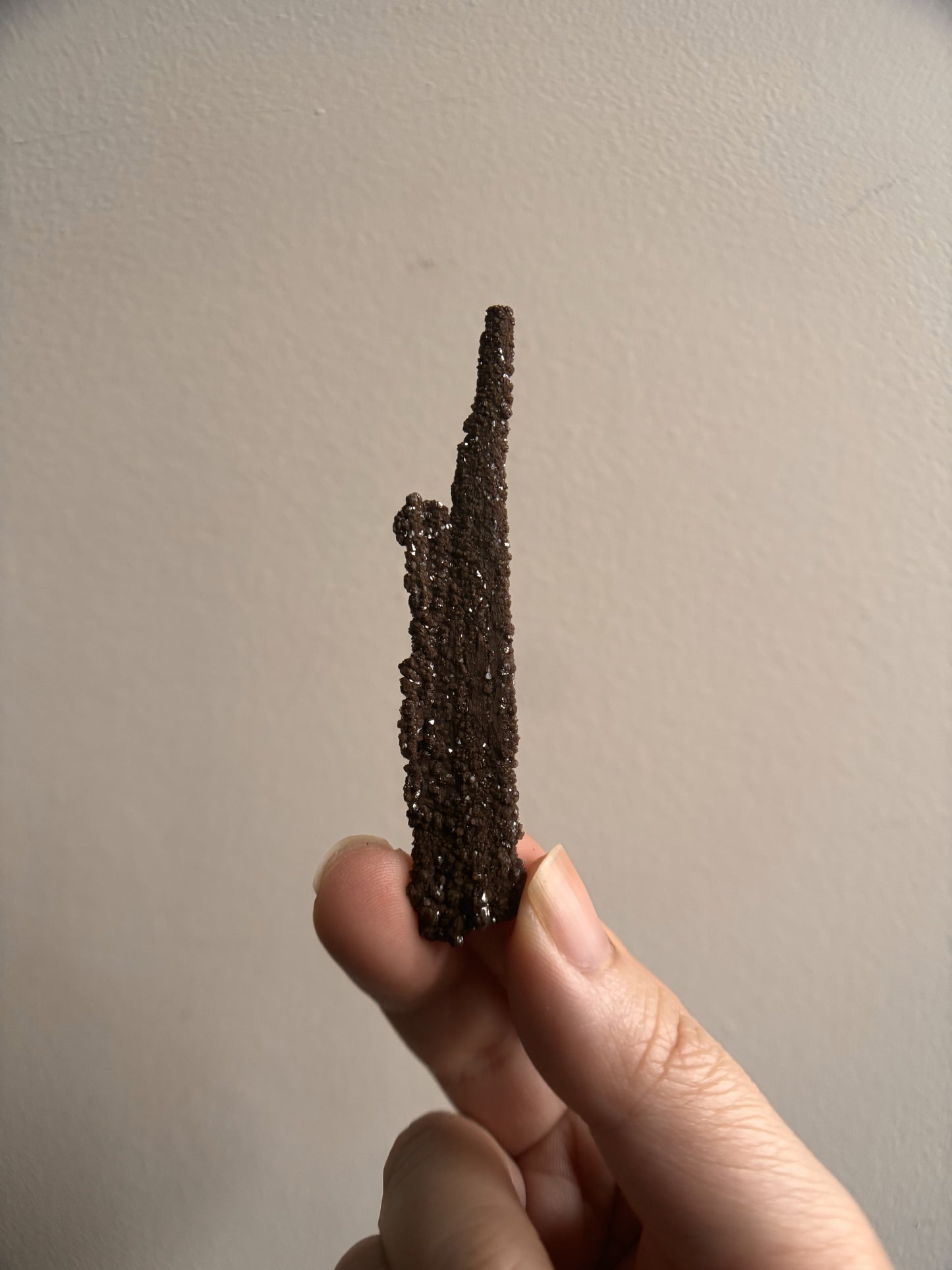 Permineralized Fossil Wood with Quartz 5.6g